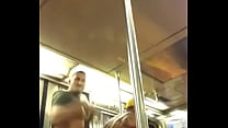 best two bears fucking on a public train best
