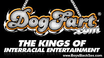 best tambayong blacks thugs breaking down sissy white boys 17 best