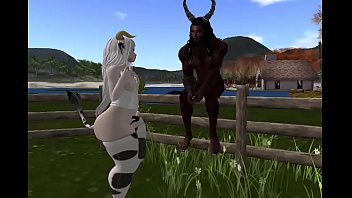 best front cowboi breeded by bull best