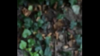 best fucked in the park my amateur video bologna italy best