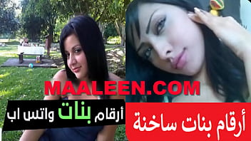 best egyptian beetnaco nuts from abdo best