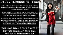 best dougter two huge animals cock fucked by dirtygardengirl at once in he anal prolapse hole best