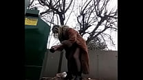 best com dragon dildo dumpster dumb dawniev ass to mouth best