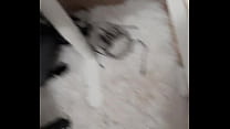 best trans slut gets facefucked and loves it best
