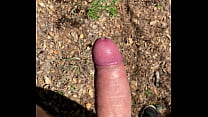 best class cum forest best
